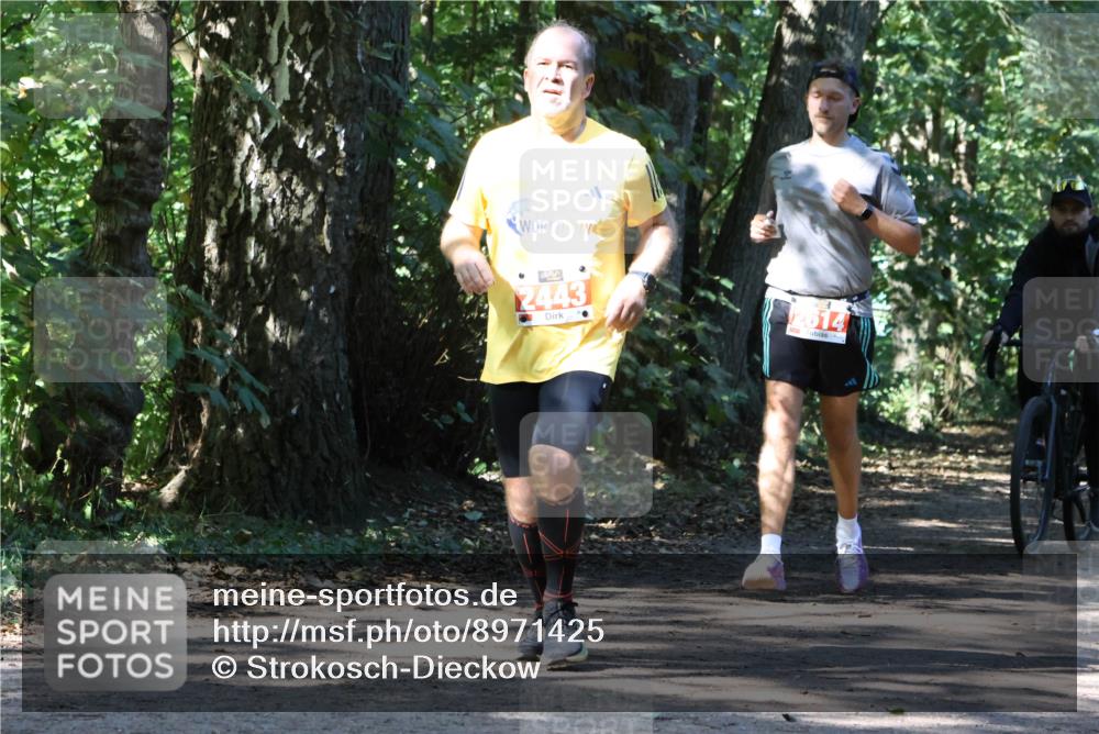 28.09.2025 - 33. Volkslauf durch das schöne Alstertal Strokosch-Dieckow http://msf.ph/oto/8971425 28.09.2025 12:13:58 Laufen 2443, 2614 meine-sportfotos.de