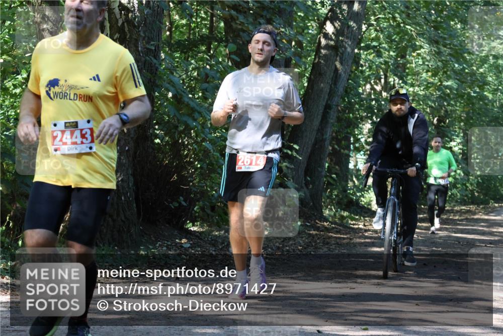 28.09.2025 - 33. Volkslauf durch das schöne Alstertal Strokosch-Dieckow http://msf.ph/oto/8971427 28.09.2025 12:13:59 Laufen 2443, 2614 meine-sportfotos.de