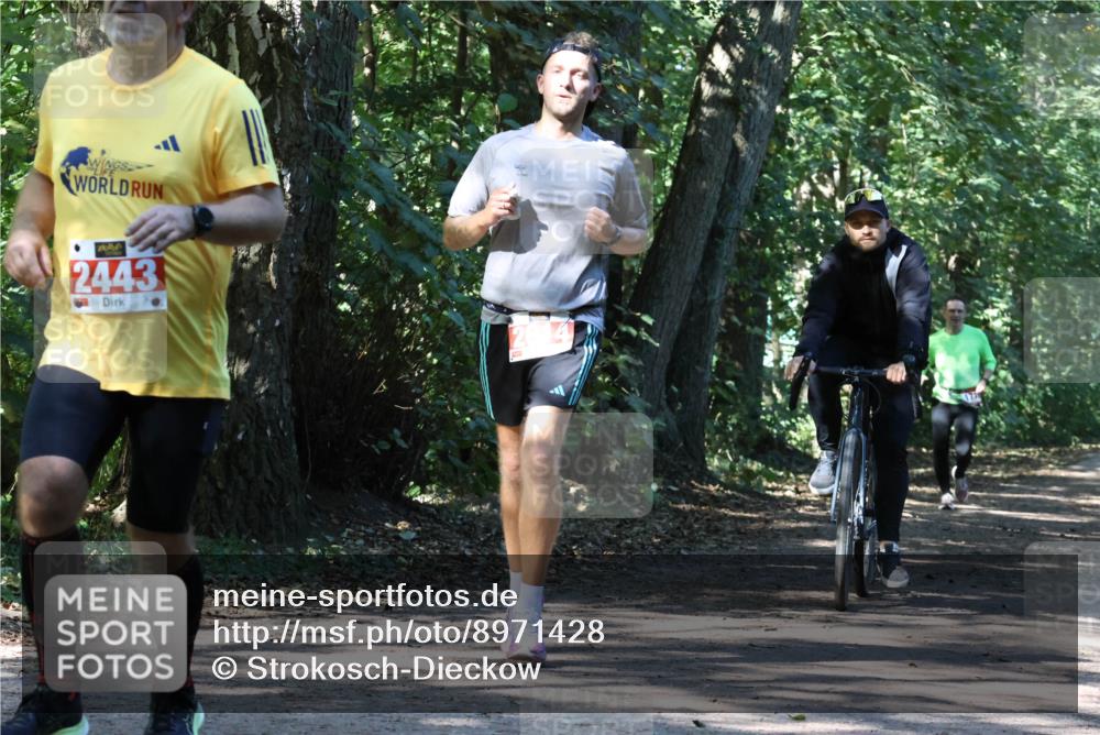 28.09.2025 - 33. Volkslauf durch das schöne Alstertal Strokosch-Dieckow http://msf.ph/oto/8971428 28.09.2025 12:13:59 Laufen 2443 meine-sportfotos.de