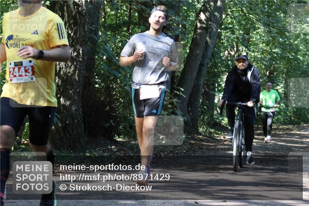 28.09.2025 - 33. Volkslauf durch das schöne Alstertal Strokosch-Dieckow http://msf.ph/oto/8971429 28.09.2025 12:13:59 Laufen 2443 meine-sportfotos.de