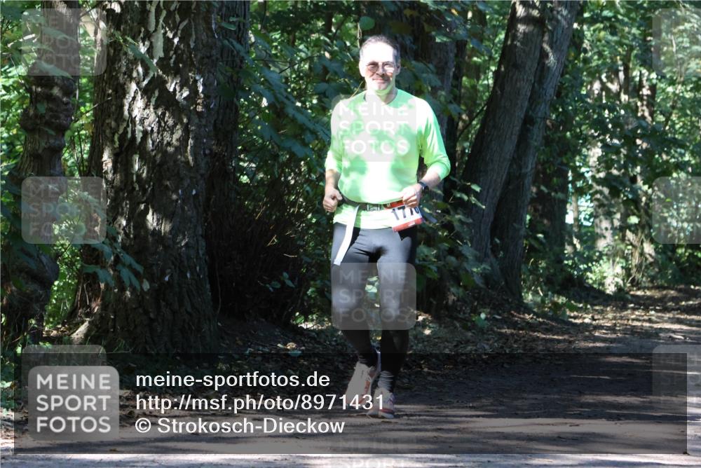 28.09.2025 - 33. Volkslauf durch das schöne Alstertal Strokosch-Dieckow http://msf.ph/oto/8971431 28.09.2025 12:14:06 Laufen 170 meine-sportfotos.de