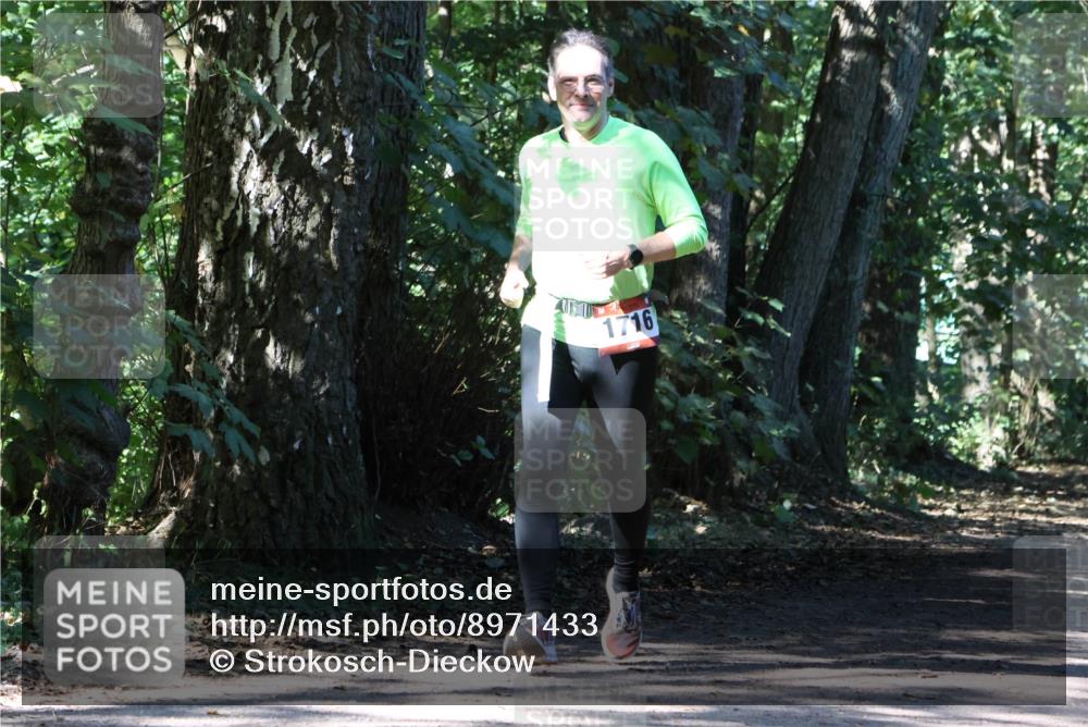 28.09.2025 - 33. Volkslauf durch das schöne Alstertal Strokosch-Dieckow http://msf.ph/oto/8971433 28.09.2025 12:14:06 Laufen 1716 meine-sportfotos.de