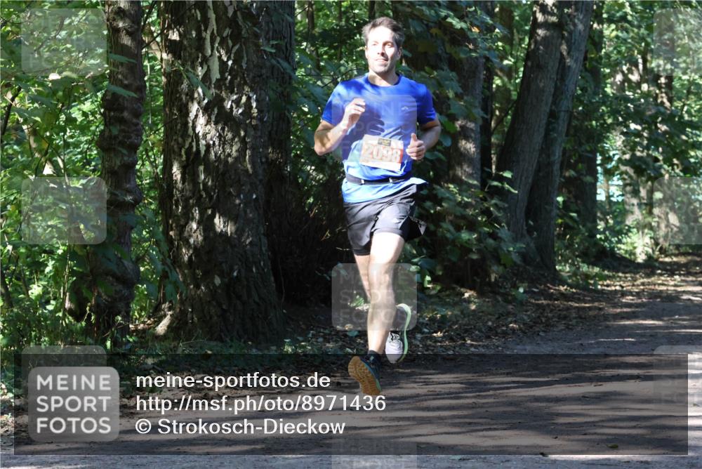 28.09.2025 - 33. Volkslauf durch das schöne Alstertal Strokosch-Dieckow http://msf.ph/oto/8971436 28.09.2025 12:14:22 Laufen 2098 meine-sportfotos.de