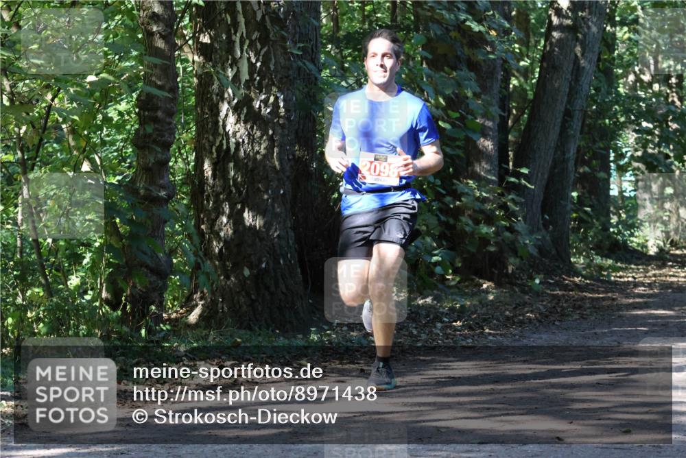 28.09.2025 - 33. Volkslauf durch das schöne Alstertal Strokosch-Dieckow http://msf.ph/oto/8971438 28.09.2025 12:14:22 Laufen 2098 meine-sportfotos.de