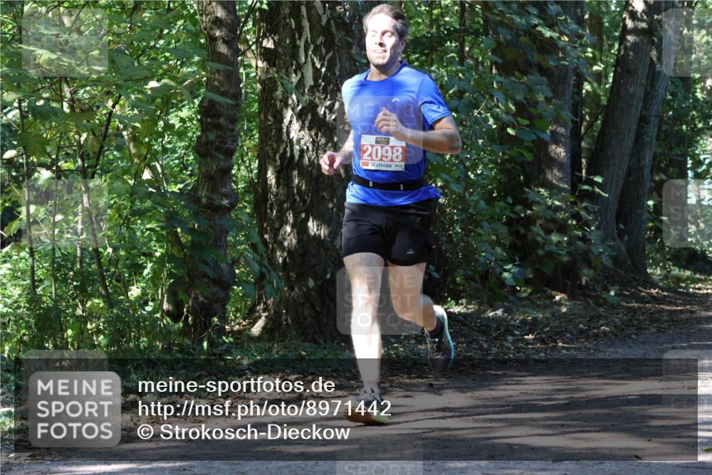 28.09.2025 - 33. Volkslauf durch das schöne Alstertal Strokosch-Dieckow http://msf.ph/oto/8971442 28.09.2025 12:14:22 Laufen 2098 meine-sportfotos.de