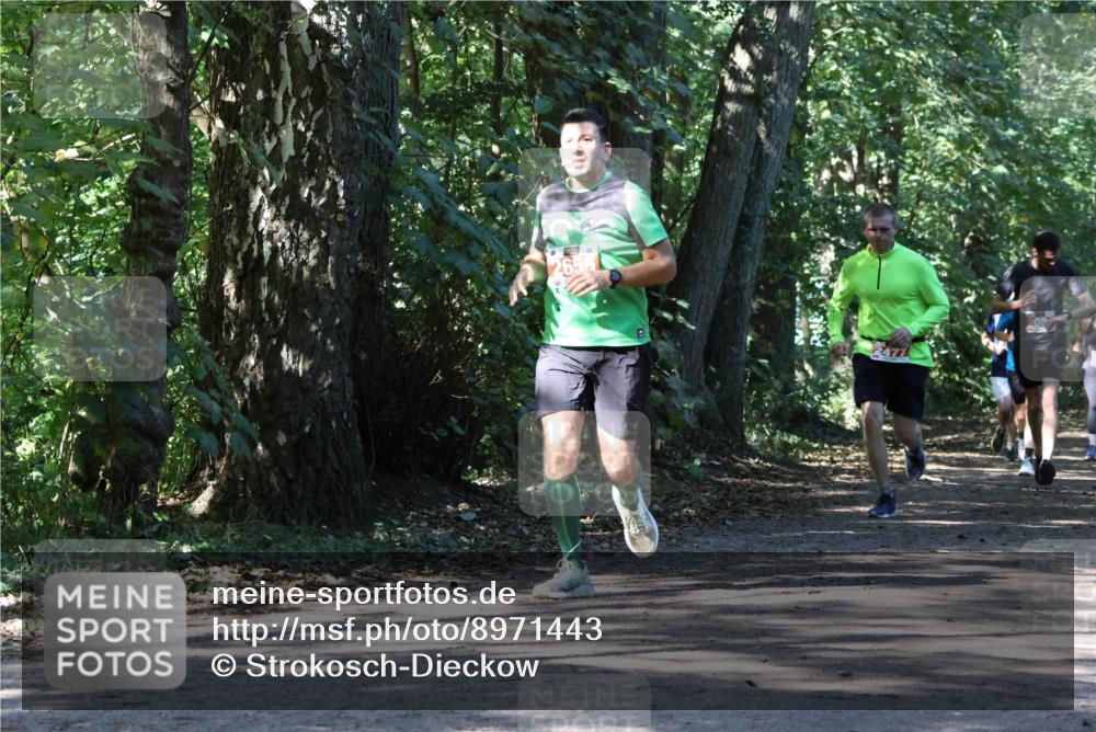 28.09.2025 - 33. Volkslauf durch das schöne Alstertal Strokosch-Dieckow http://msf.ph/oto/8971443 28.09.2025 12:14:35 Laufen  meine-sportfotos.de