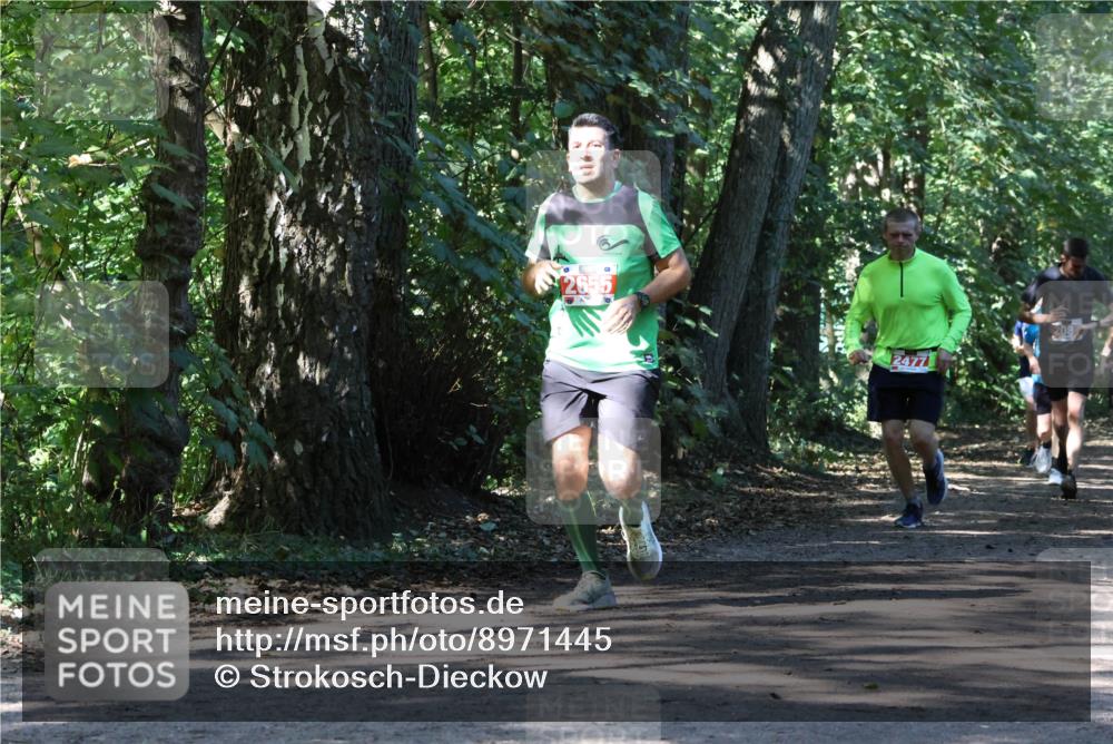 28.09.2025 - 33. Volkslauf durch das schöne Alstertal Strokosch-Dieckow http://msf.ph/oto/8971445 28.09.2025 12:14:35 Laufen 2655, 2477, 208 meine-sportfotos.de