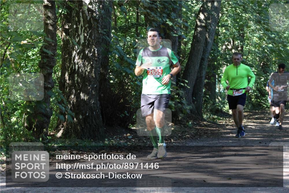 28.09.2025 - 33. Volkslauf durch das schöne Alstertal Strokosch-Dieckow http://msf.ph/oto/8971446 28.09.2025 12:14:35 Laufen 2655, 2477 meine-sportfotos.de