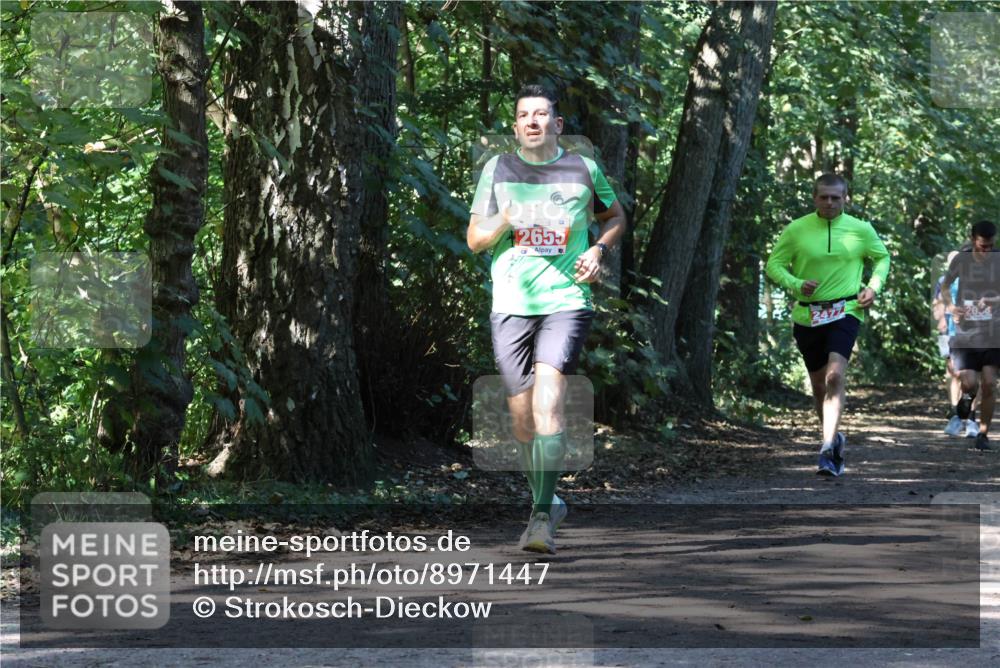 28.09.2025 - 33. Volkslauf durch das schöne Alstertal Strokosch-Dieckow http://msf.ph/oto/8971447 28.09.2025 12:14:35 Laufen 2655 meine-sportfotos.de