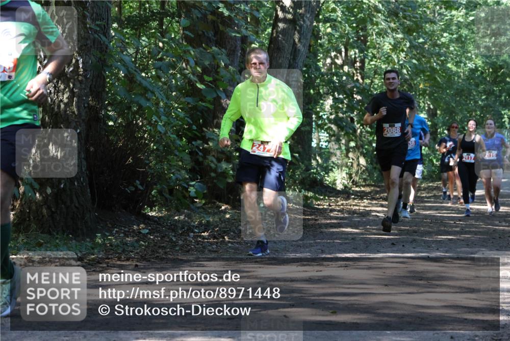 28.09.2025 - 33. Volkslauf durch das schöne Alstertal Strokosch-Dieckow http://msf.ph/oto/8971448 28.09.2025 12:14:36 Laufen 247, 2088, 38 meine-sportfotos.de