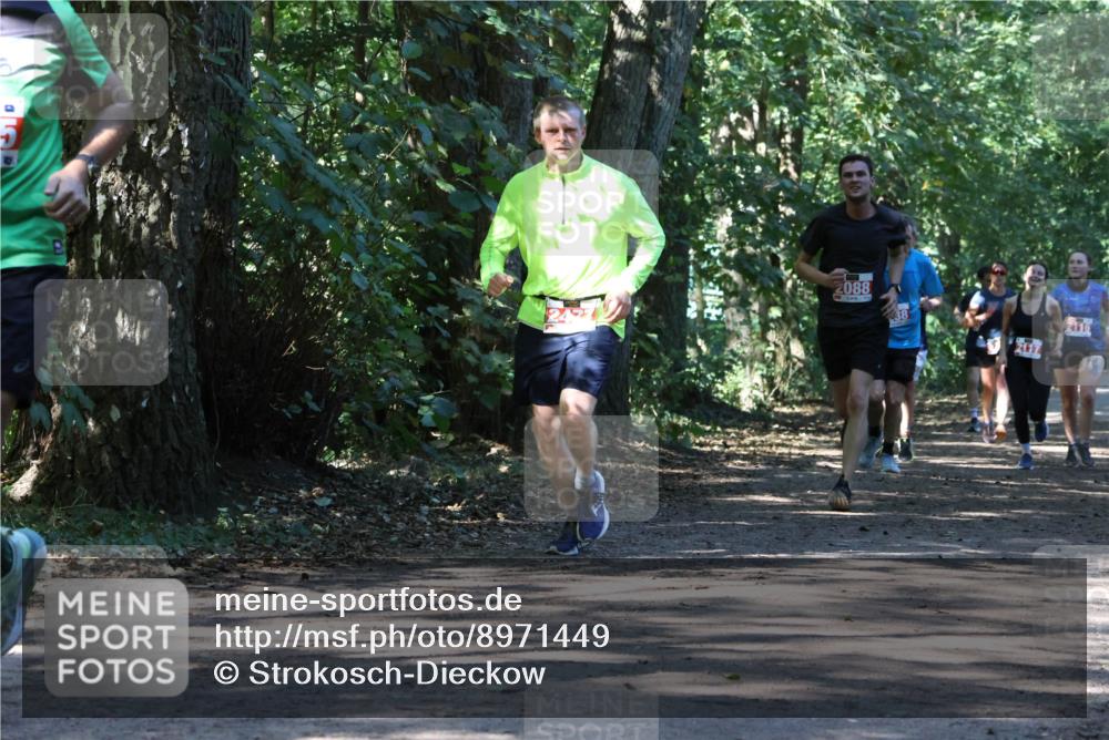 28.09.2025 - 33. Volkslauf durch das schöne Alstertal Strokosch-Dieckow http://msf.ph/oto/8971449 28.09.2025 12:14:36 Laufen 088, 38, 2116 meine-sportfotos.de