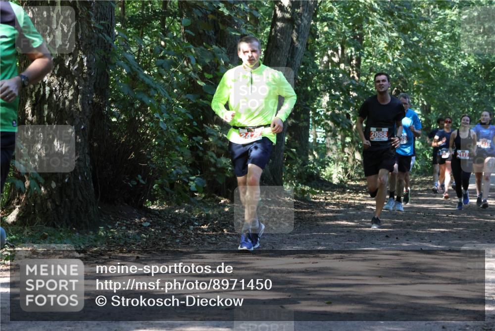 28.09.2025 - 33. Volkslauf durch das schöne Alstertal Strokosch-Dieckow http://msf.ph/oto/8971450 28.09.2025 12:14:36 Laufen 2088 meine-sportfotos.de