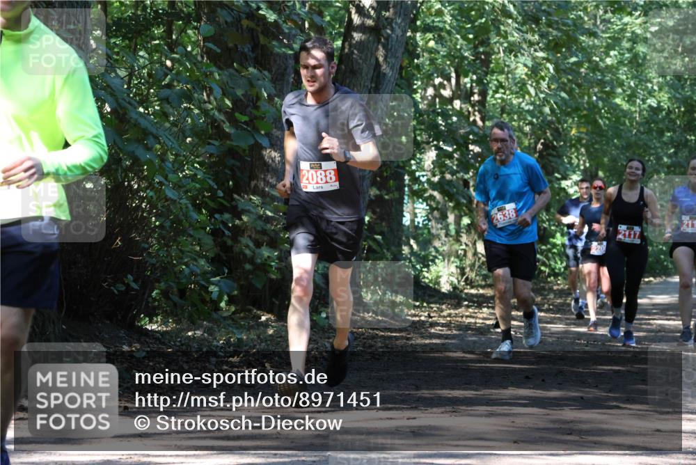 28.09.2025 - 33. Volkslauf durch das schöne Alstertal Strokosch-Dieckow http://msf.ph/oto/8971451 28.09.2025 12:14:38 Laufen 2088, 2638, 2017, 211 meine-sportfotos.de