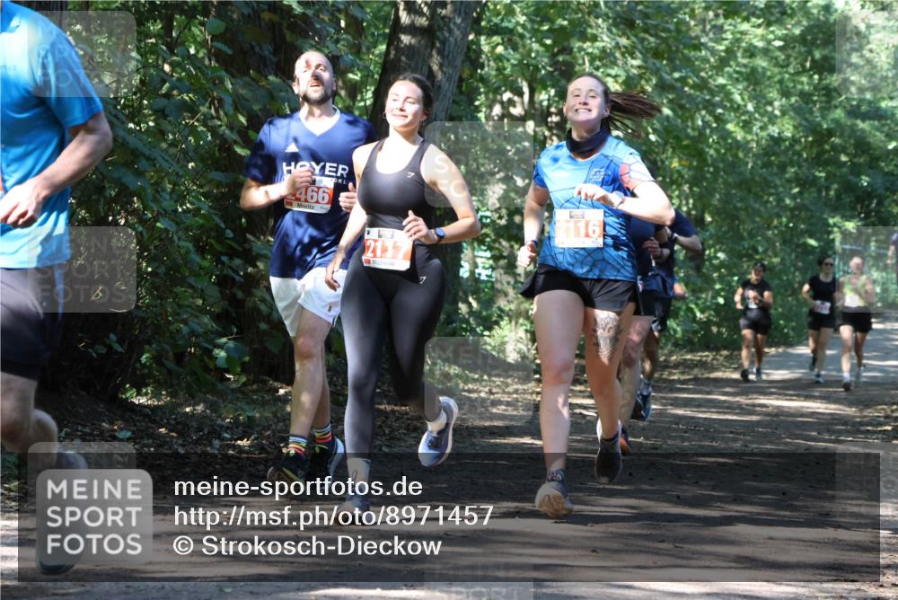28.09.2025 - 33. Volkslauf durch das schöne Alstertal Strokosch-Dieckow http://msf.ph/oto/8971457 28.09.2025 12:14:42 Laufen 466, 2117, 2116 meine-sportfotos.de