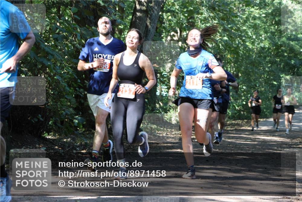 28.09.2025 - 33. Volkslauf durch das schöne Alstertal Strokosch-Dieckow http://msf.ph/oto/8971458 28.09.2025 12:14:42 Laufen 2117, 2116 meine-sportfotos.de