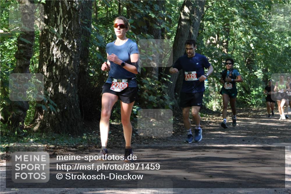 28.09.2025 - 33. Volkslauf durch das schöne Alstertal Strokosch-Dieckow http://msf.ph/oto/8971459 28.09.2025 12:14:45 Laufen 2200, 2129 meine-sportfotos.de