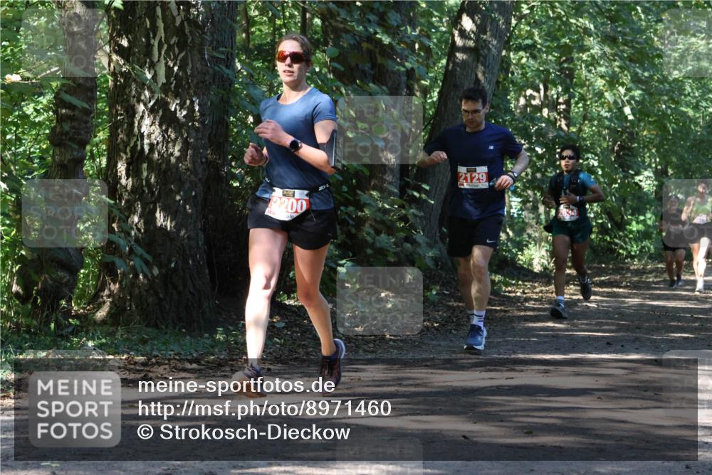 28.09.2025 - 33. Volkslauf durch das schöne Alstertal Strokosch-Dieckow http://msf.ph/oto/8971460 28.09.2025 12:14:45 Laufen 200, 2129 meine-sportfotos.de