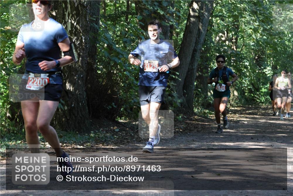 28.09.2025 - 33. Volkslauf durch das schöne Alstertal Strokosch-Dieckow http://msf.ph/oto/8971463 28.09.2025 12:14:46 Laufen 2200, 2129, 2634 meine-sportfotos.de
