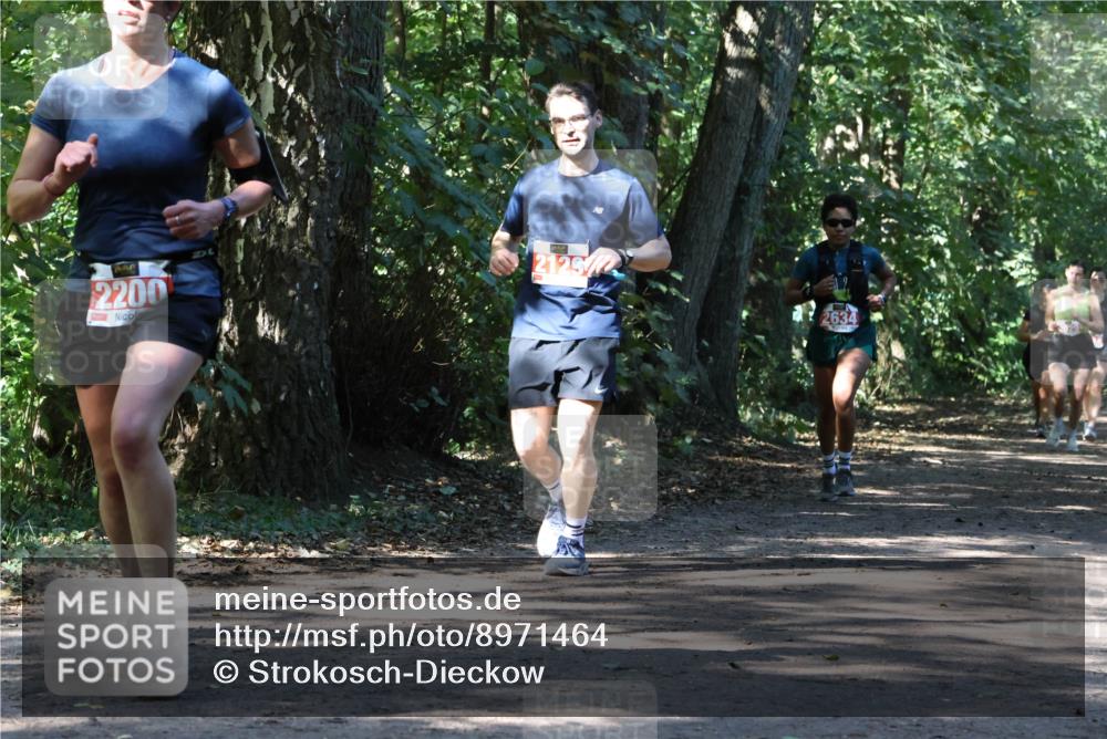 28.09.2025 - 33. Volkslauf durch das schöne Alstertal Strokosch-Dieckow http://msf.ph/oto/8971464 28.09.2025 12:14:46 Laufen 2200, 2125, 2, 2634 meine-sportfotos.de