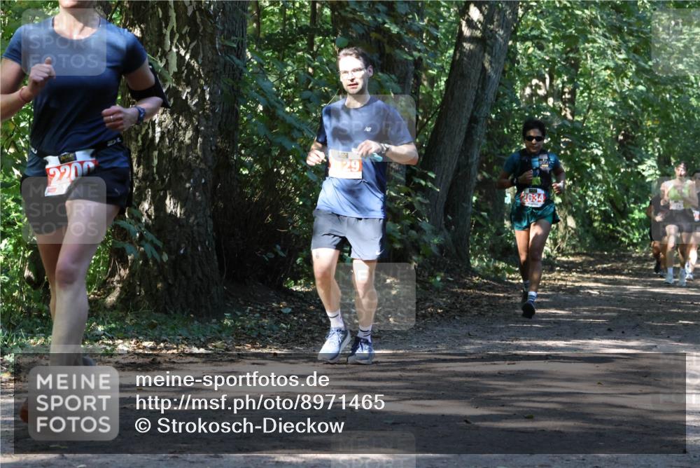 28.09.2025 - 33. Volkslauf durch das schöne Alstertal Strokosch-Dieckow http://msf.ph/oto/8971465 28.09.2025 12:14:46 Laufen 2200, 29, 2634 meine-sportfotos.de
