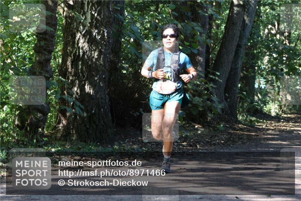 28.09.2025 - 33. Volkslauf durch das schöne Alstertal Strokosch-Dieckow http://msf.ph/oto/8971466 28.09.2025 12:14:48 Laufen  meine-sportfotos.de