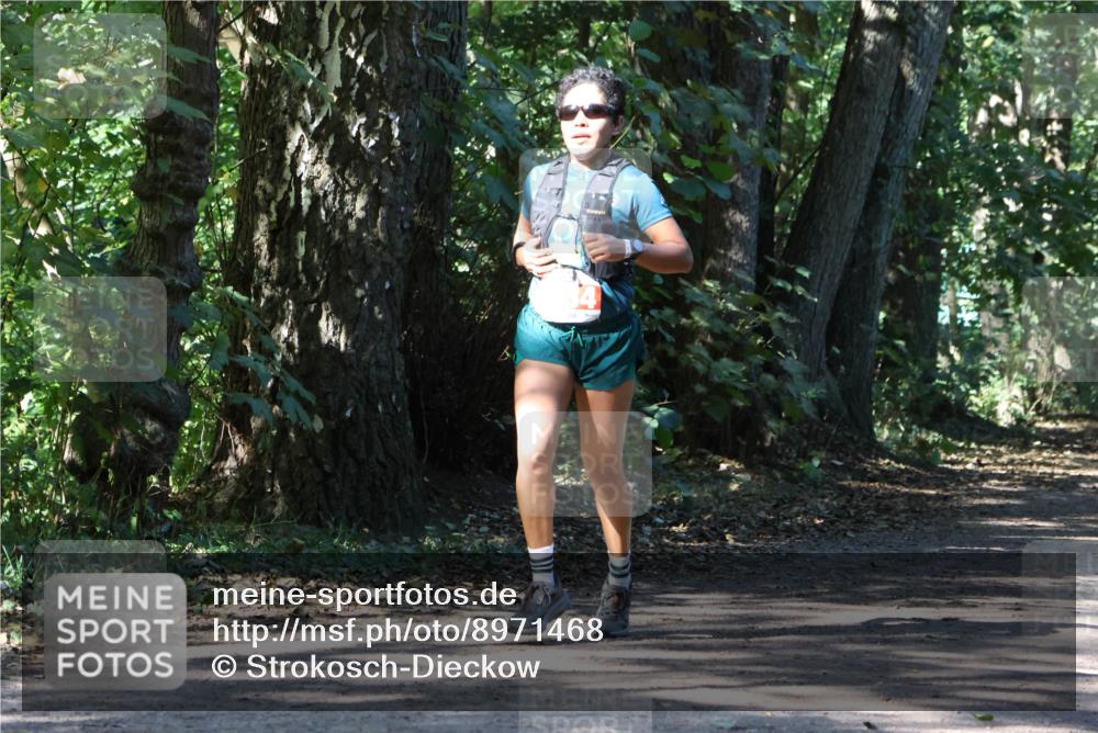 28.09.2025 - 33. Volkslauf durch das schöne Alstertal Strokosch-Dieckow http://msf.ph/oto/8971468 28.09.2025 12:14:48 Laufen  meine-sportfotos.de
