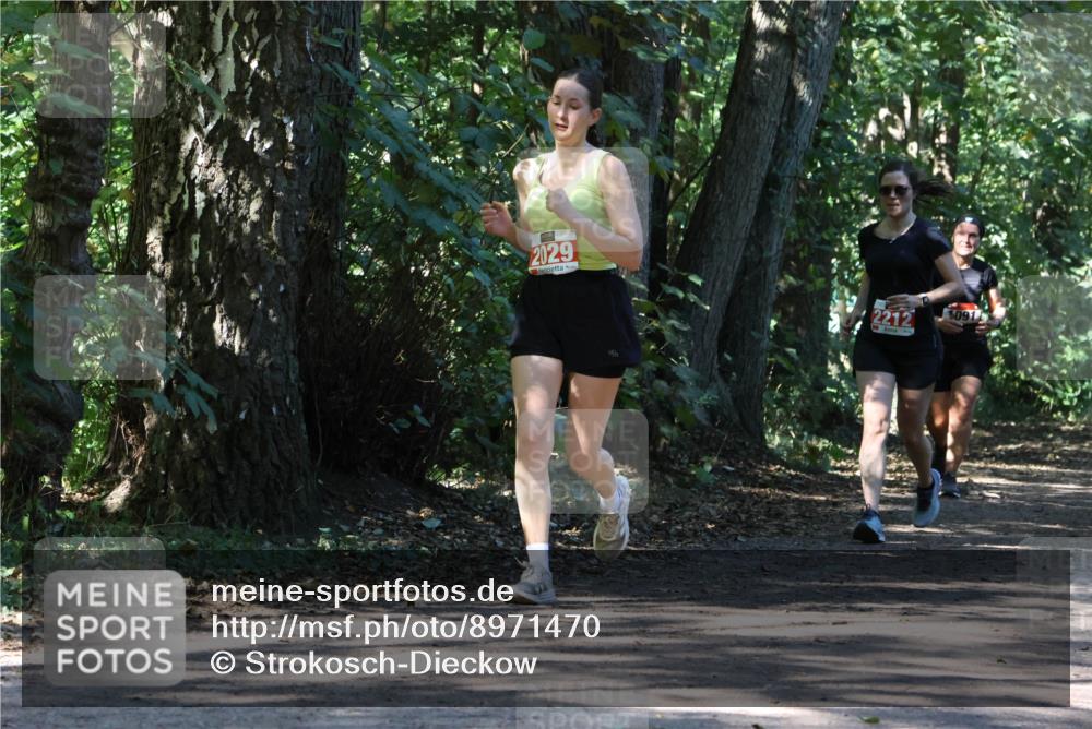 28.09.2025 - 33. Volkslauf durch das schöne Alstertal Strokosch-Dieckow http://msf.ph/oto/8971470 28.09.2025 12:14:52 Laufen 2029, 2212, 1091 meine-sportfotos.de