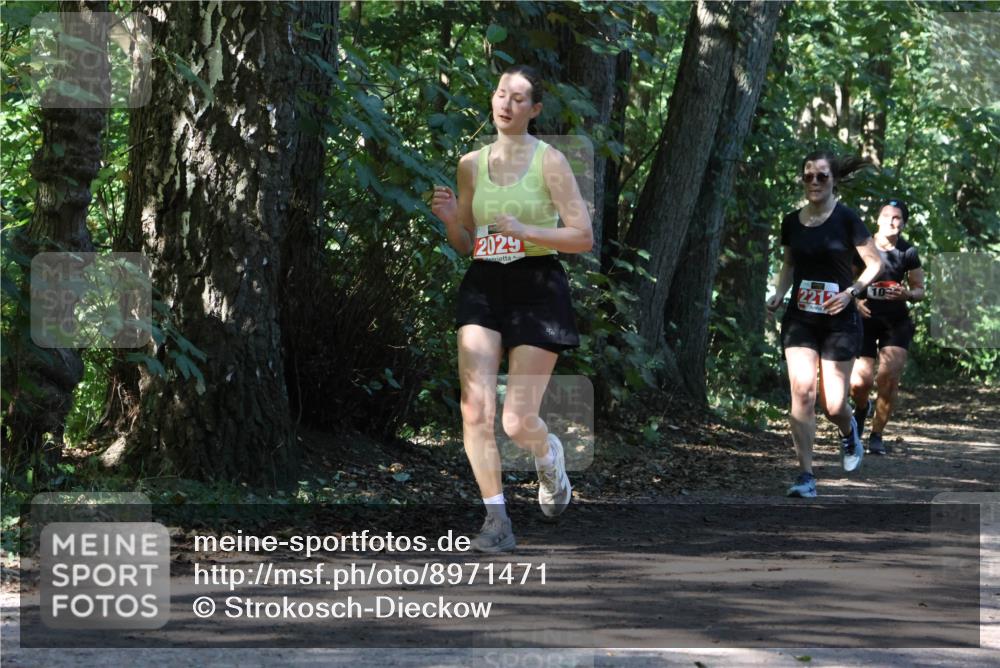 28.09.2025 - 33. Volkslauf durch das schöne Alstertal Strokosch-Dieckow http://msf.ph/oto/8971471 28.09.2025 12:14:52 Laufen 2029 meine-sportfotos.de
