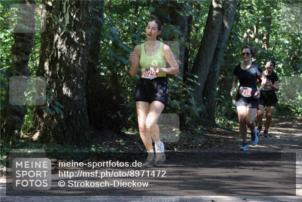 28.09.2025 - 33. Volkslauf durch das schöne Alstertal Strokosch-Dieckow http://msf.ph/oto/8971472 28.09.2025 12:14:53 Laufen 2029, 2212, 109 meine-sportfotos.de