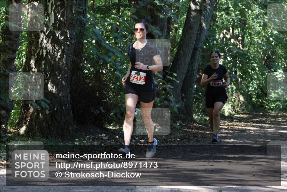 28.09.2025 - 33. Volkslauf durch das schöne Alstertal Strokosch-Dieckow http://msf.ph/oto/8971473 28.09.2025 12:14:54 Laufen 2212, 1091 meine-sportfotos.de