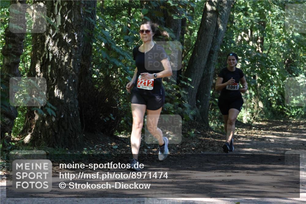 28.09.2025 - 33. Volkslauf durch das schöne Alstertal Strokosch-Dieckow http://msf.ph/oto/8971474 28.09.2025 12:14:54 Laufen 2212, 1091 meine-sportfotos.de
