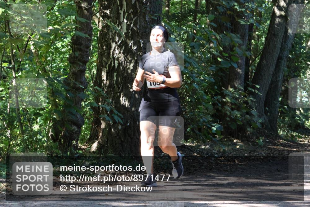28.09.2025 - 33. Volkslauf durch das schöne Alstertal Strokosch-Dieckow http://msf.ph/oto/8971477 28.09.2025 12:14:58 Laufen  meine-sportfotos.de