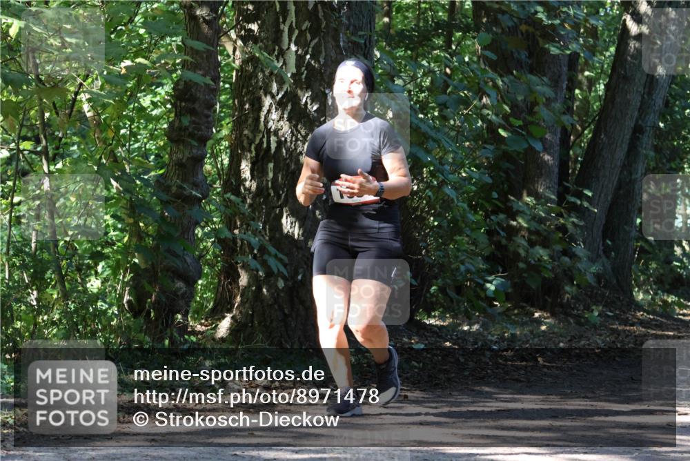 28.09.2025 - 33. Volkslauf durch das schöne Alstertal Strokosch-Dieckow http://msf.ph/oto/8971478 28.09.2025 12:14:58 Laufen  meine-sportfotos.de