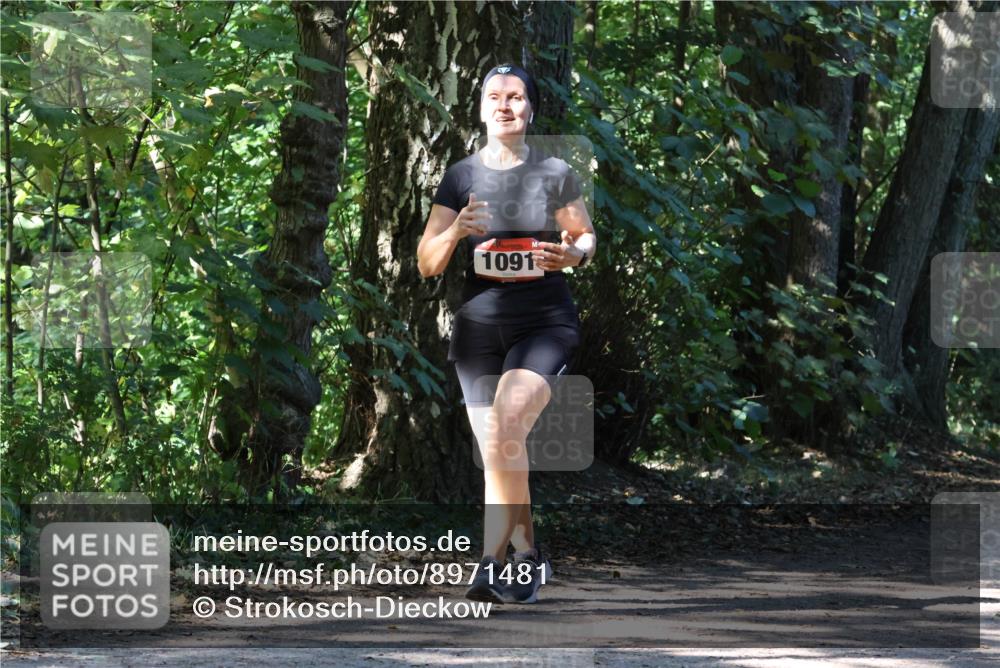 28.09.2025 - 33. Volkslauf durch das schöne Alstertal Strokosch-Dieckow http://msf.ph/oto/8971481 28.09.2025 12:14:58 Laufen 1091 meine-sportfotos.de