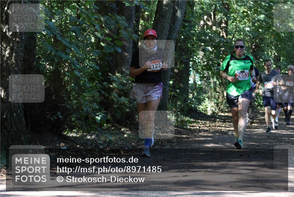 28.09.2025 - 33. Volkslauf durch das schöne Alstertal Strokosch-Dieckow http://msf.ph/oto/8971485 28.09.2025 12:15:05 Laufen 122, 2653, 1740 meine-sportfotos.de