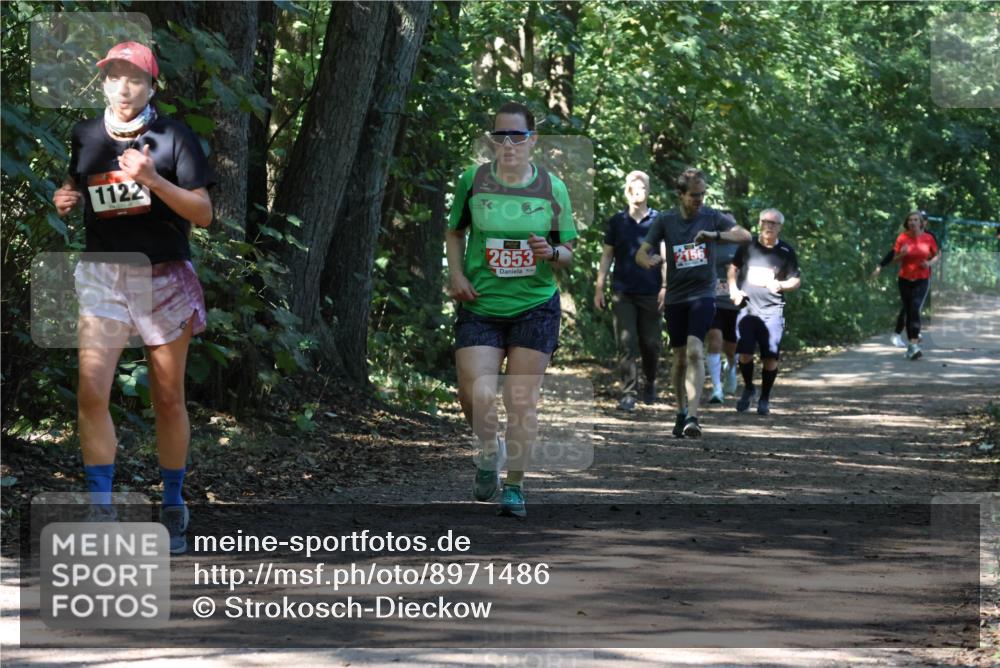 28.09.2025 - 33. Volkslauf durch das schöne Alstertal Strokosch-Dieckow http://msf.ph/oto/8971486 28.09.2025 12:15:05 Laufen 1122, 2653, 2156 meine-sportfotos.de