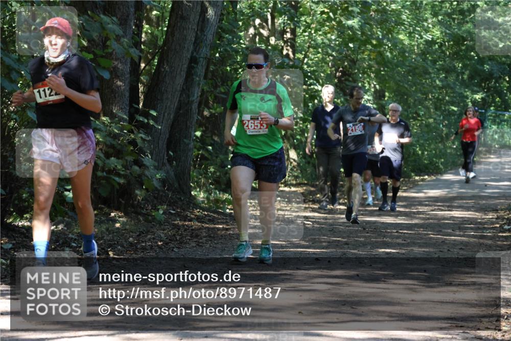 28.09.2025 - 33. Volkslauf durch das schöne Alstertal Strokosch-Dieckow http://msf.ph/oto/8971487 28.09.2025 12:15:05 Laufen 112, 2655, 2156 meine-sportfotos.de