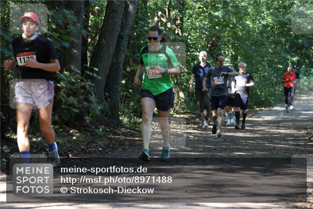 28.09.2025 - 33. Volkslauf durch das schöne Alstertal Strokosch-Dieckow http://msf.ph/oto/8971488 28.09.2025 12:15:06 Laufen 112, 265, 2156 meine-sportfotos.de