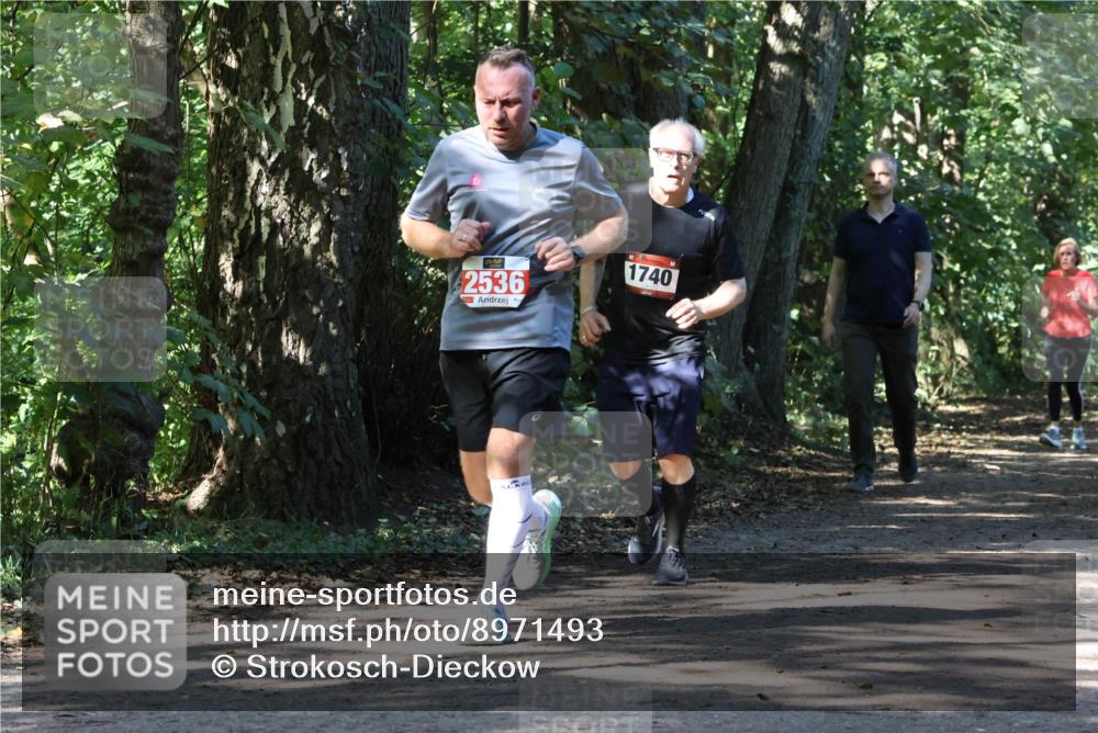 28.09.2025 - 33. Volkslauf durch das schöne Alstertal Strokosch-Dieckow http://msf.ph/oto/8971493 28.09.2025 12:15:14 Laufen 2536, 1740 meine-sportfotos.de