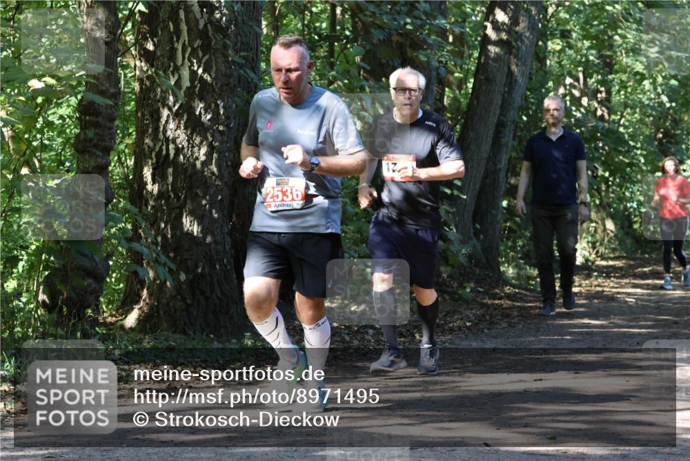 28.09.2025 - 33. Volkslauf durch das schöne Alstertal Strokosch-Dieckow http://msf.ph/oto/8971495 28.09.2025 12:15:15 Laufen 2536, 17 meine-sportfotos.de