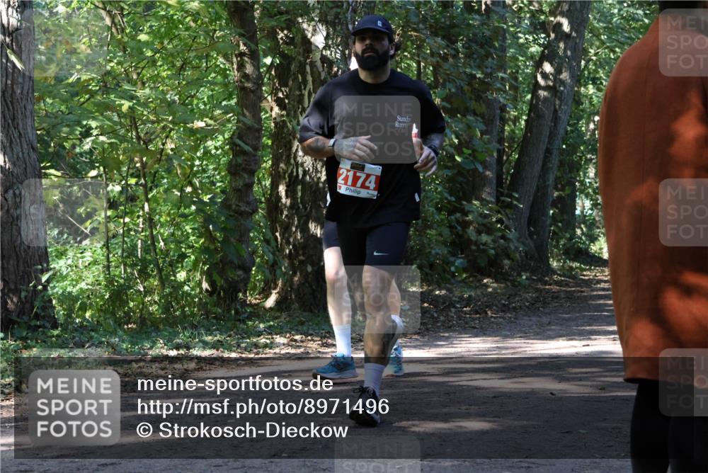 28.09.2025 - 33. Volkslauf durch das schöne Alstertal Strokosch-Dieckow http://msf.ph/oto/8971496 28.09.2025 12:15:27 Laufen 2174 meine-sportfotos.de