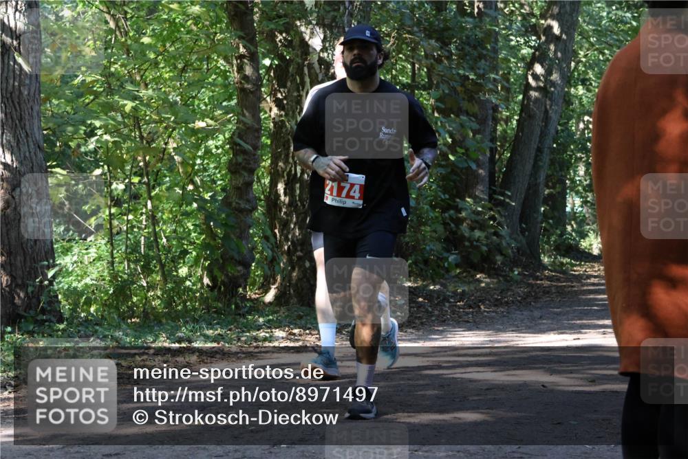 28.09.2025 - 33. Volkslauf durch das schöne Alstertal Strokosch-Dieckow http://msf.ph/oto/8971497 28.09.2025 12:15:27 Laufen 2174 meine-sportfotos.de