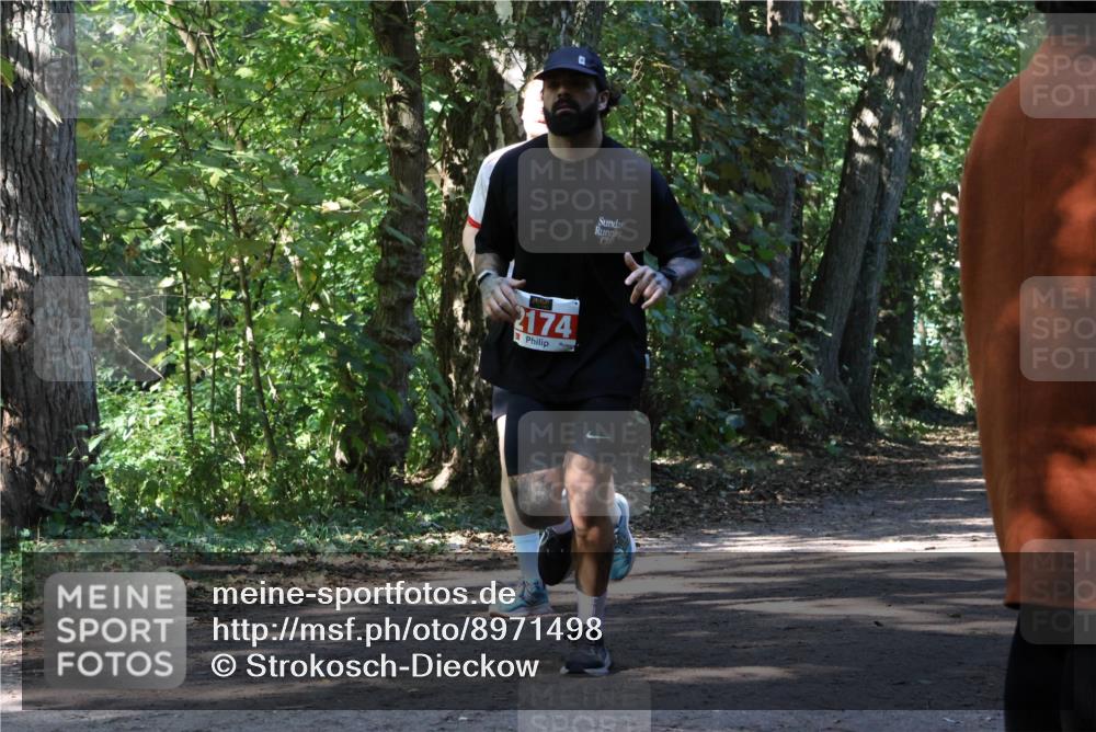28.09.2025 - 33. Volkslauf durch das schöne Alstertal Strokosch-Dieckow http://msf.ph/oto/8971498 28.09.2025 12:15:27 Laufen 2174 meine-sportfotos.de