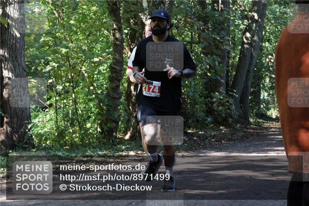 28.09.2025 - 33. Volkslauf durch das schöne Alstertal Strokosch-Dieckow http://msf.ph/oto/8971499 28.09.2025 12:15:27 Laufen 2174 meine-sportfotos.de