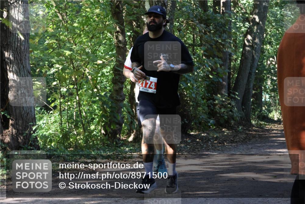 28.09.2025 - 33. Volkslauf durch das schöne Alstertal Strokosch-Dieckow http://msf.ph/oto/8971500 28.09.2025 12:15:27 Laufen 2174 meine-sportfotos.de