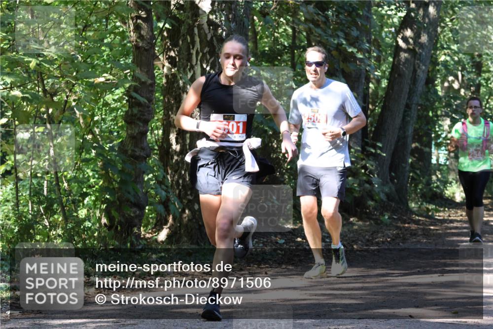 28.09.2025 - 33. Volkslauf durch das schöne Alstertal Strokosch-Dieckow http://msf.ph/oto/8971506 28.09.2025 12:15:44 Laufen 301 meine-sportfotos.de