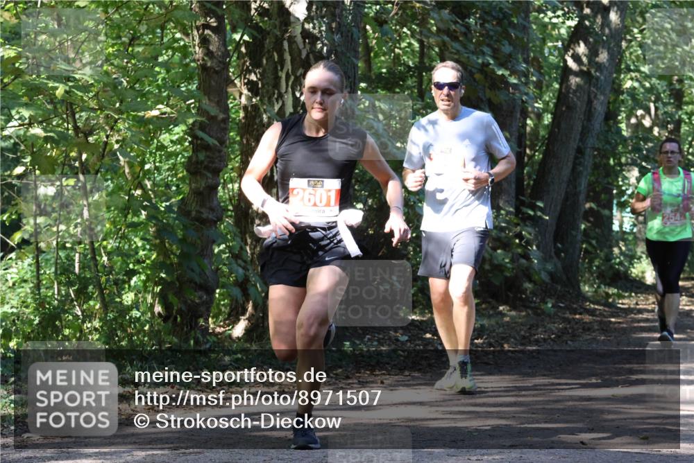 28.09.2025 - 33. Volkslauf durch das schöne Alstertal Strokosch-Dieckow http://msf.ph/oto/8971507 28.09.2025 12:15:44 Laufen 42601, 254 meine-sportfotos.de