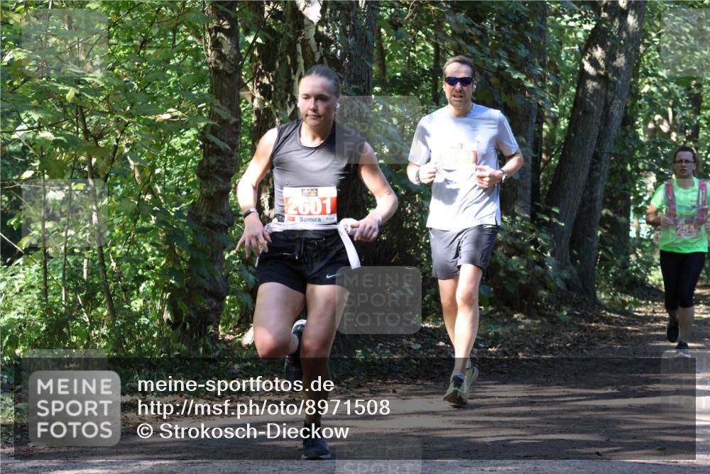 28.09.2025 - 33. Volkslauf durch das schöne Alstertal Strokosch-Dieckow http://msf.ph/oto/8971508 28.09.2025 12:15:44 Laufen 2601 meine-sportfotos.de