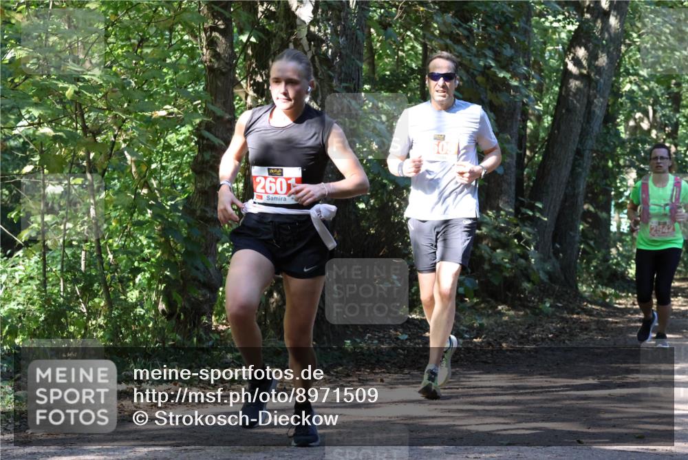 28.09.2025 - 33. Volkslauf durch das schöne Alstertal Strokosch-Dieckow http://msf.ph/oto/8971509 28.09.2025 12:15:44 Laufen 260, 2542 meine-sportfotos.de