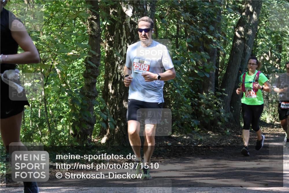 28.09.2025 - 33. Volkslauf durch das schöne Alstertal Strokosch-Dieckow http://msf.ph/oto/8971510 28.09.2025 12:15:45 Laufen 2509, 2542, 1746 meine-sportfotos.de
